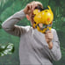 Transformers Rise of The Beasts Bumblebee 2 in 1 Toy Mask SHIPS FREE TODAY!