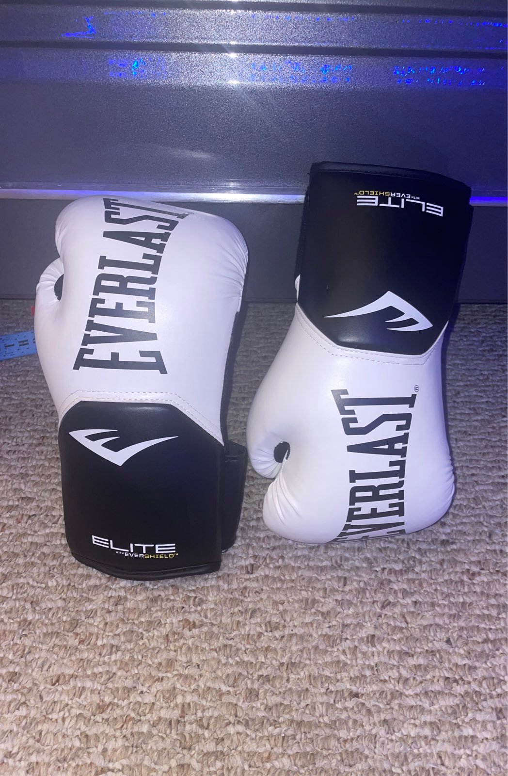 Everlast boxing glove