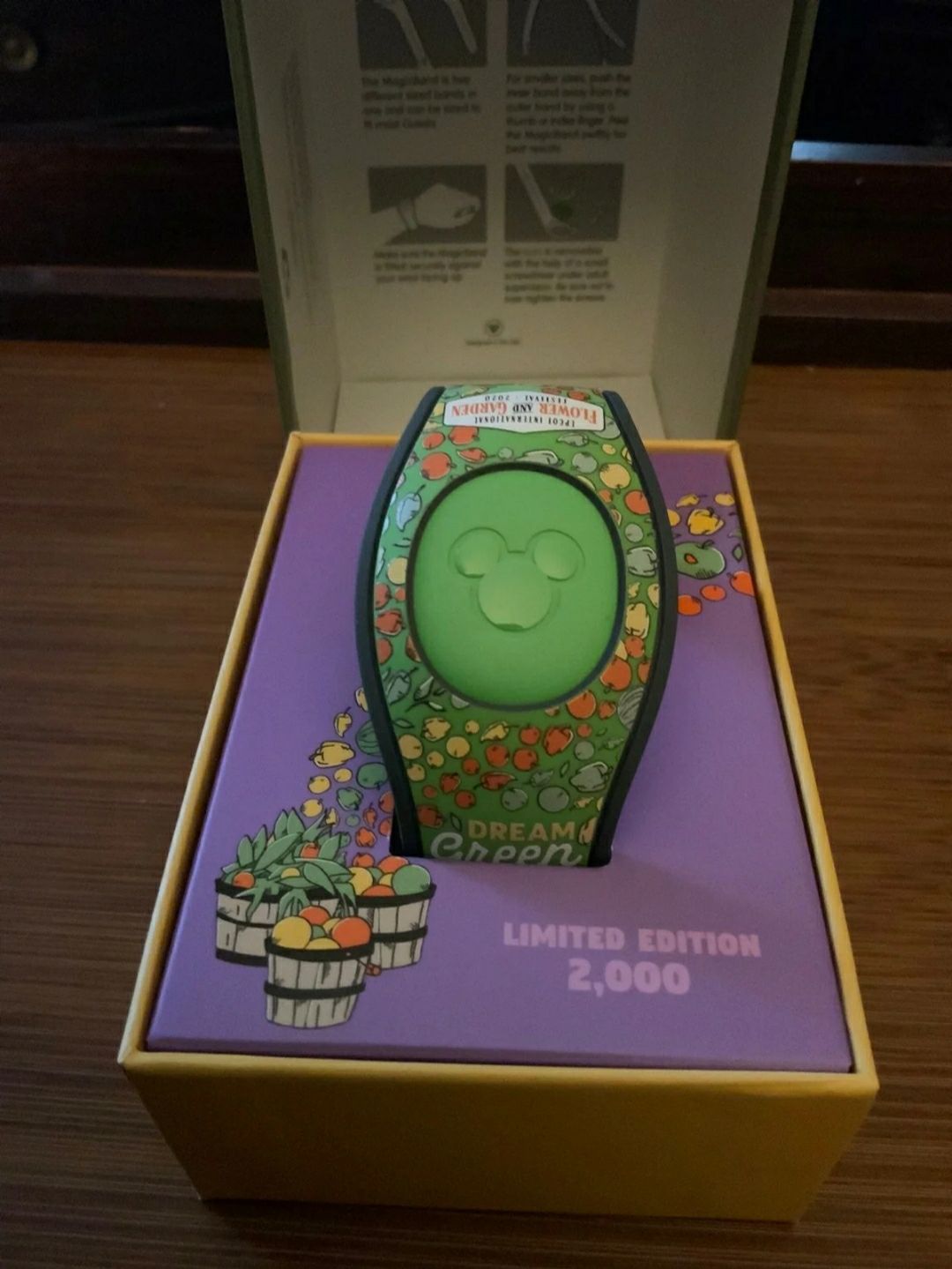 Figment Flower and Garden Magic Band NIB