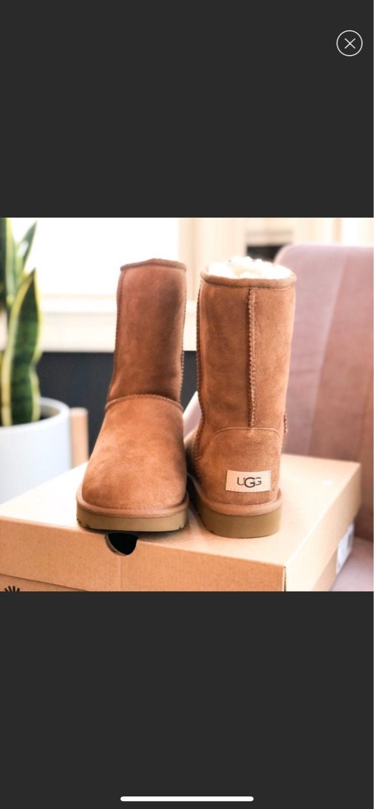 UGGS CLASSIC SHORT II