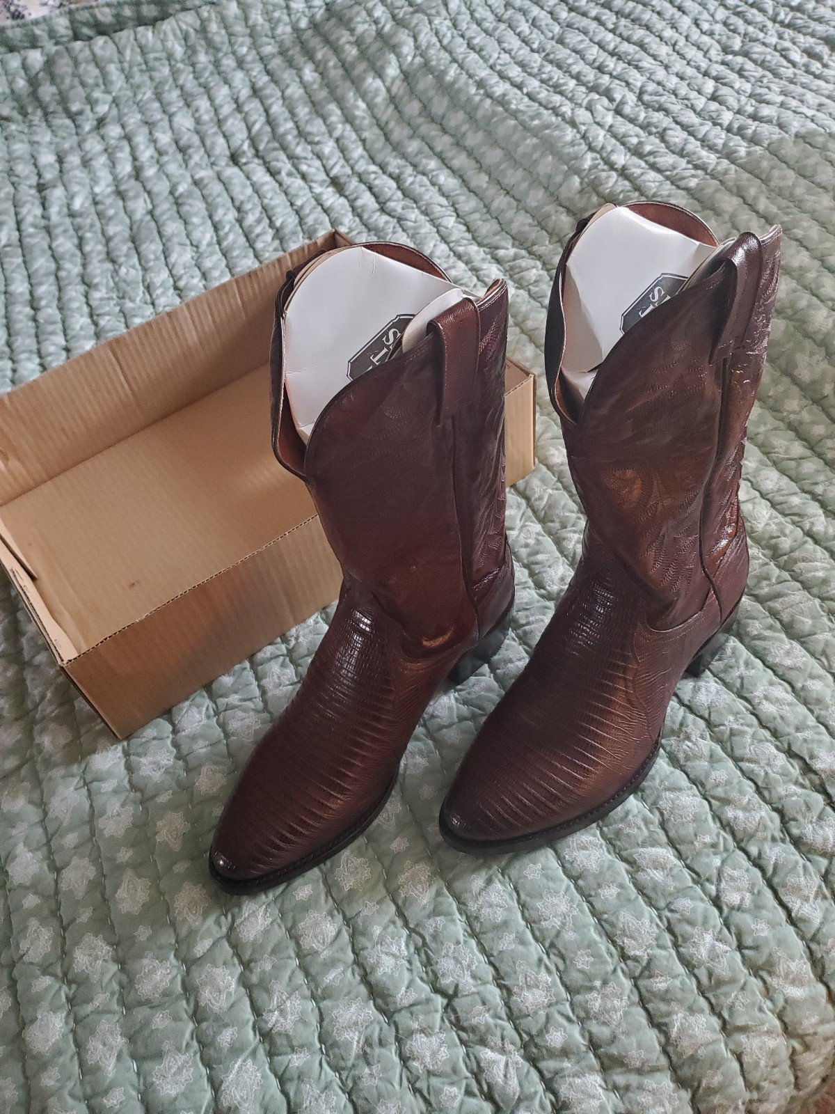 Dan Post Exotic Teju Lizard Winston Boots, Tan, 12 EW