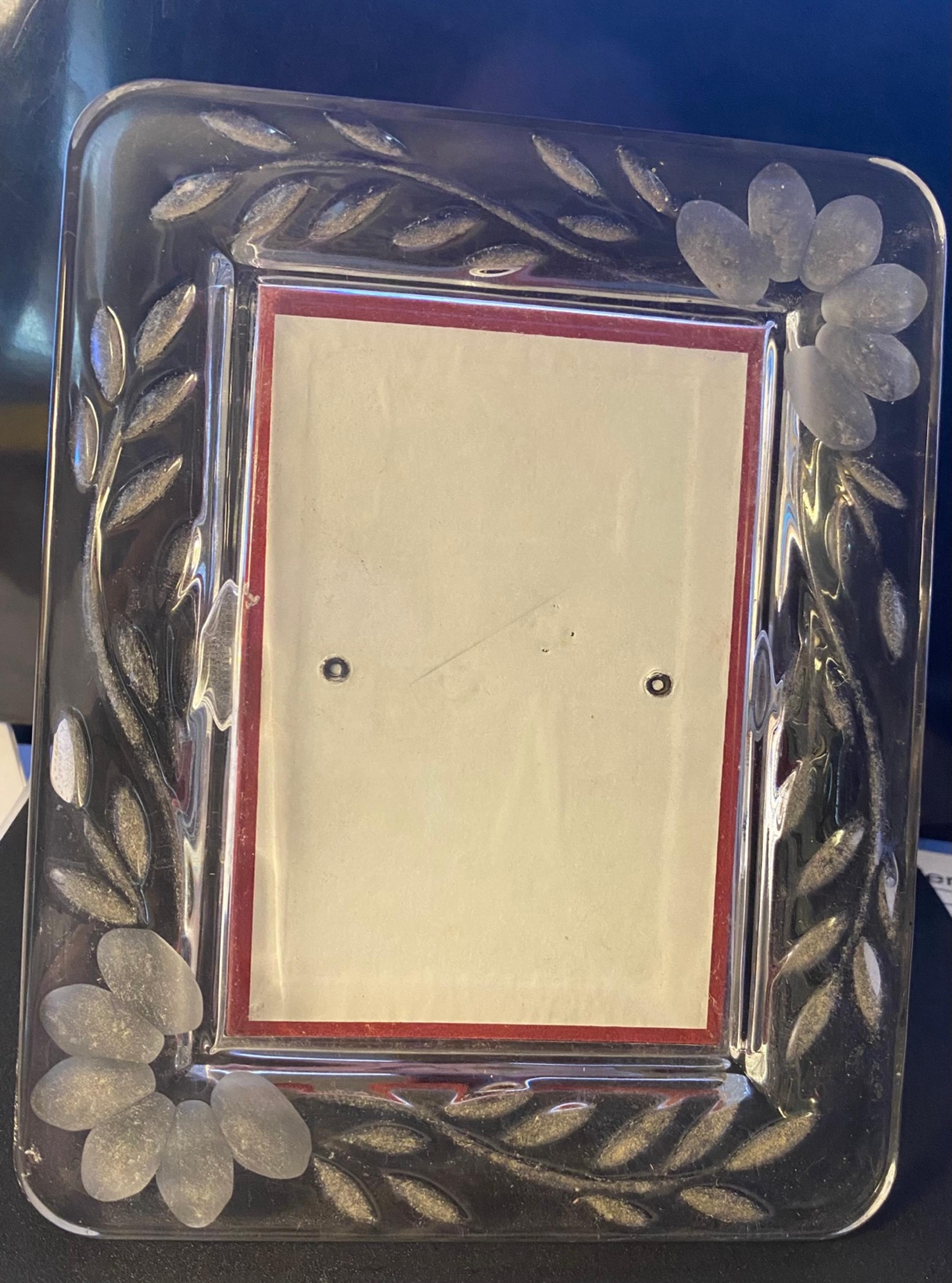 Princess House Picture Frame