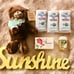 Sunshine Basket