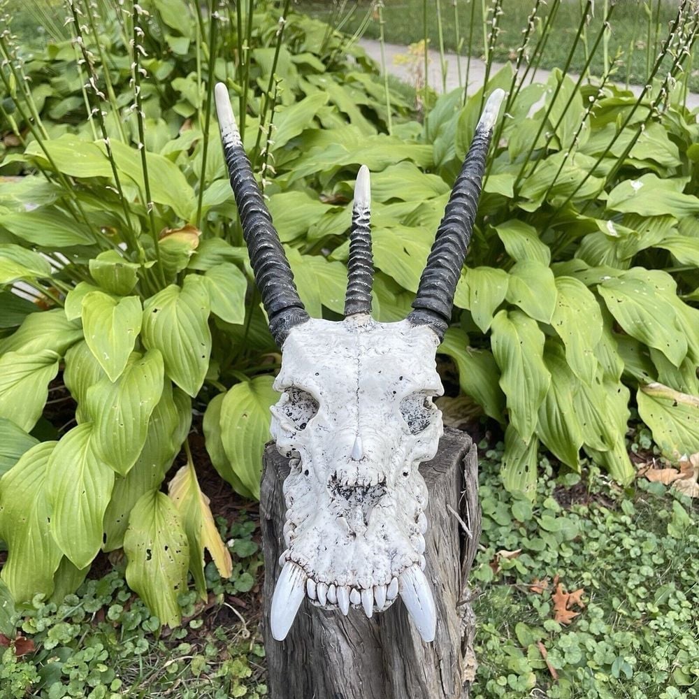Summit Collection Large Mythical Fantasy Dragon Skull Resin Wall Mount Sculpture