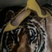 Alfani yellow suede heels