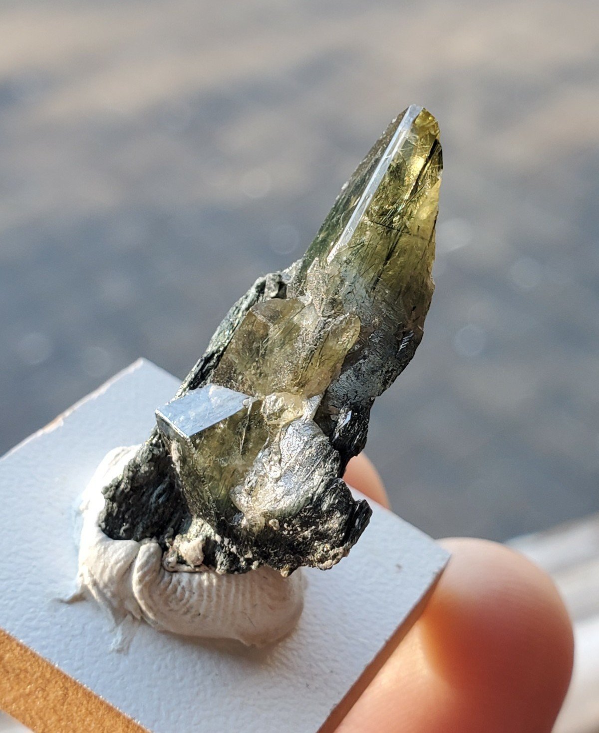 Terminated Sphene Titanite W/ Actinolite Inclusions, Pakistan