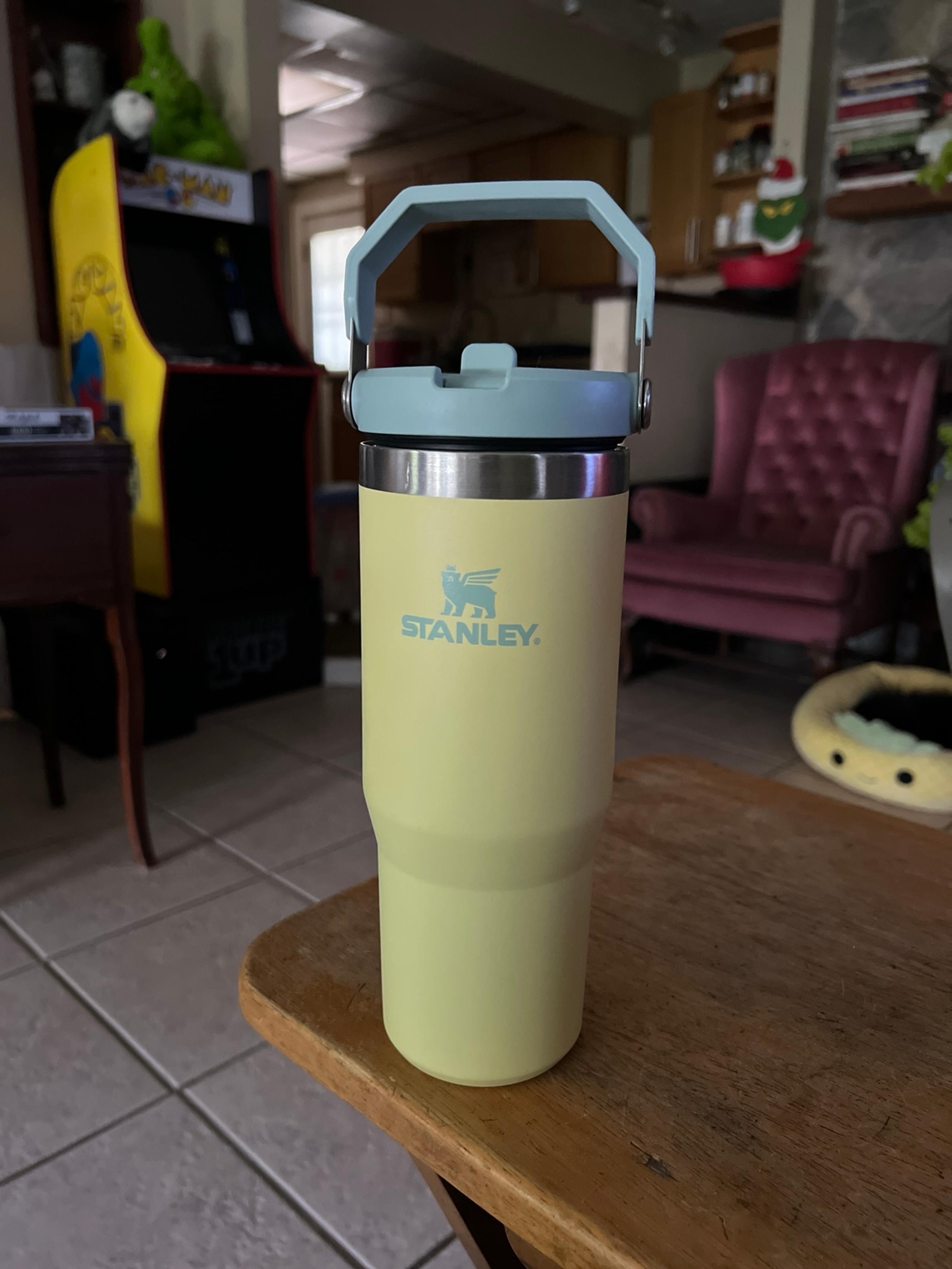 STANLEY 30oz WITH HANDLE