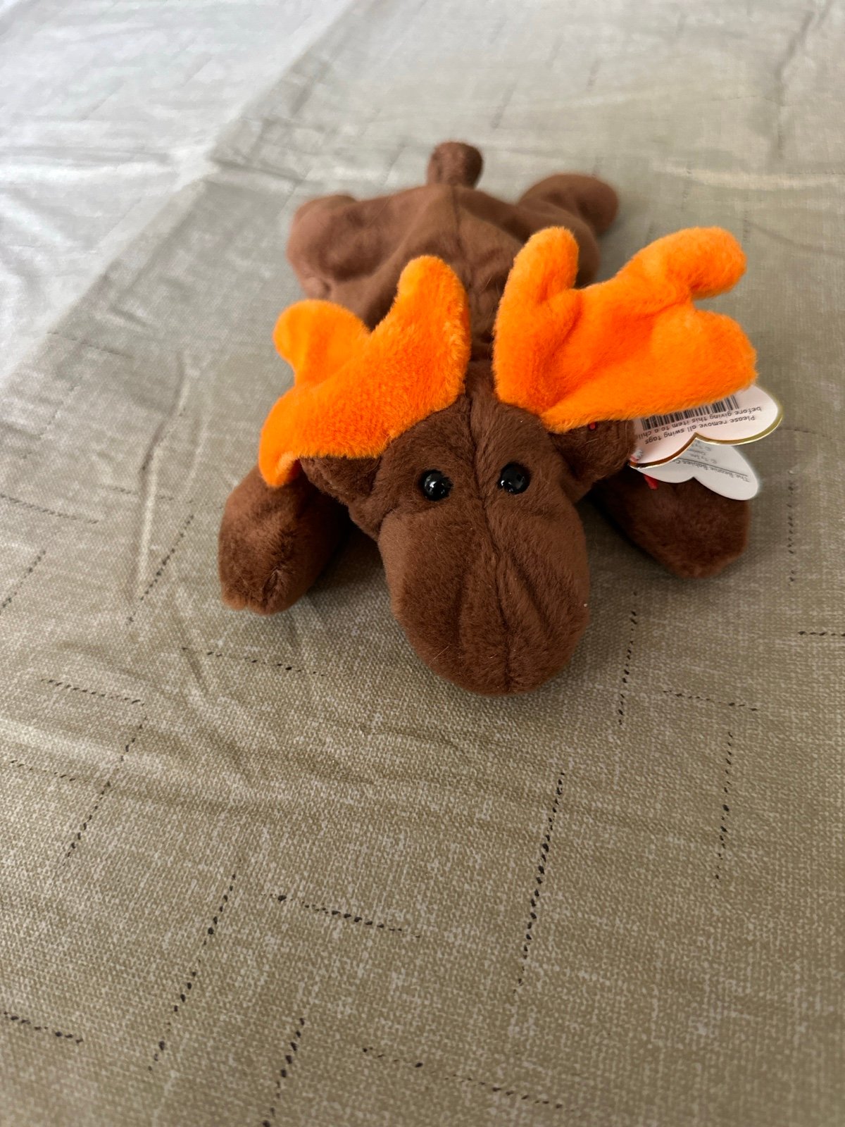 Chocolate Moose Ty Beanie