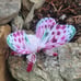 Melon moth soft sculpture, ooak, textile taxidermy, doll, plush, toy