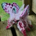 Melon moth soft sculpture, ooak, textile taxidermy, doll, plush, toy