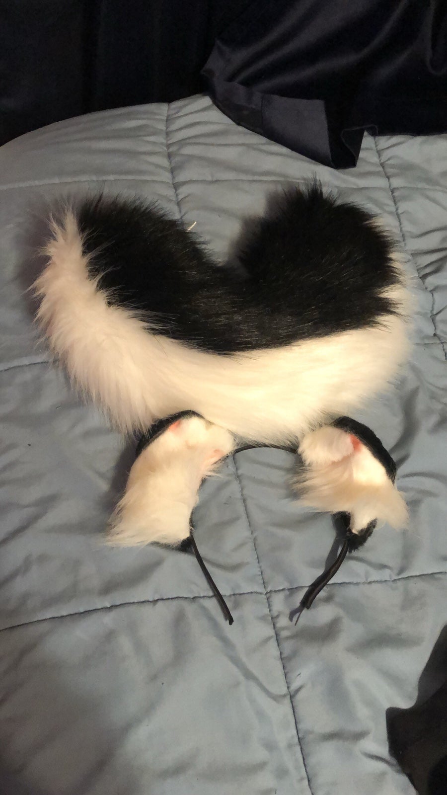 Puppy Ears and Tail