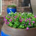 8 Bundles Artificial Flowers for Hanging Planters