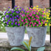 8 Bundles Artificial Flowers for Hanging Planters