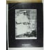 Sotheby's Catalog 1991 Old Master 19th 20th Century Contemporary Prints 6175