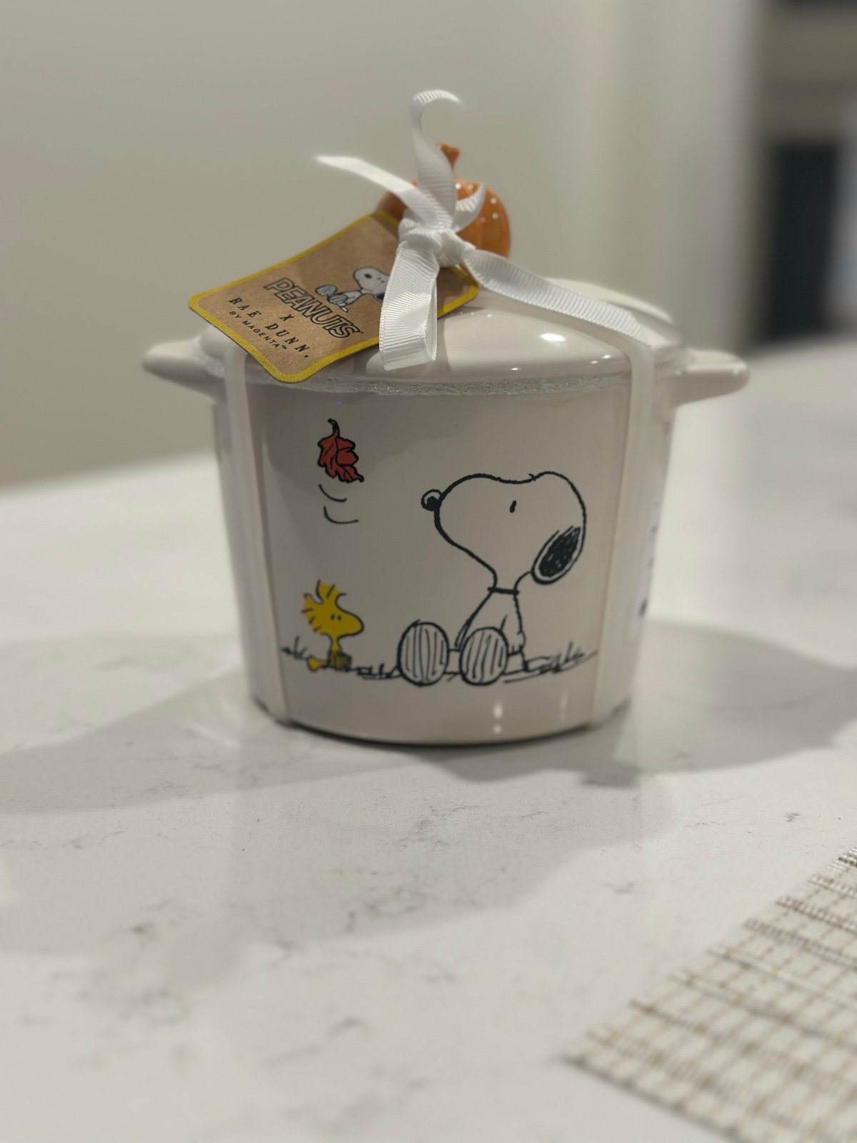 Peanuts x Rae Dunn Snoopy Baking Dish
