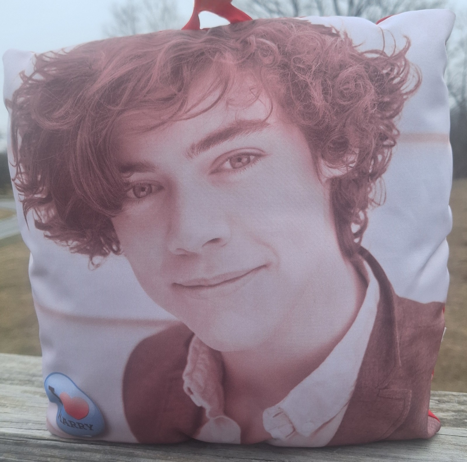 2012? One Direction 1D Young Harry Styles 10 x 10 Throw Pillow RARE 1D Merch