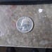 1965 quarter no mint mark