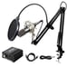 Professional Multimedia Microphone