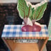 Pioneer Woman Summer Farmers Market Signs and Kitchen Towels