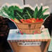 Pioneer Woman Summer Farmers Market Signs and Kitchen Towels