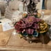 capodimonte center piece