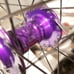 HED 650 Belgium plus front wheel + profile hub