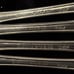 1898 Simons Bro Melrose Dinner Forks