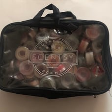 Scentsy Fall/Winter Wax Melts Mini Tester Consultant Samples