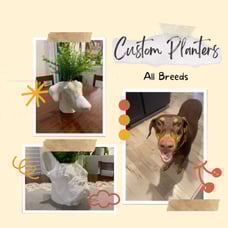 Custom Pet Memorial Planters All Breeds Options (Cats & Dogs) for Dinner Table