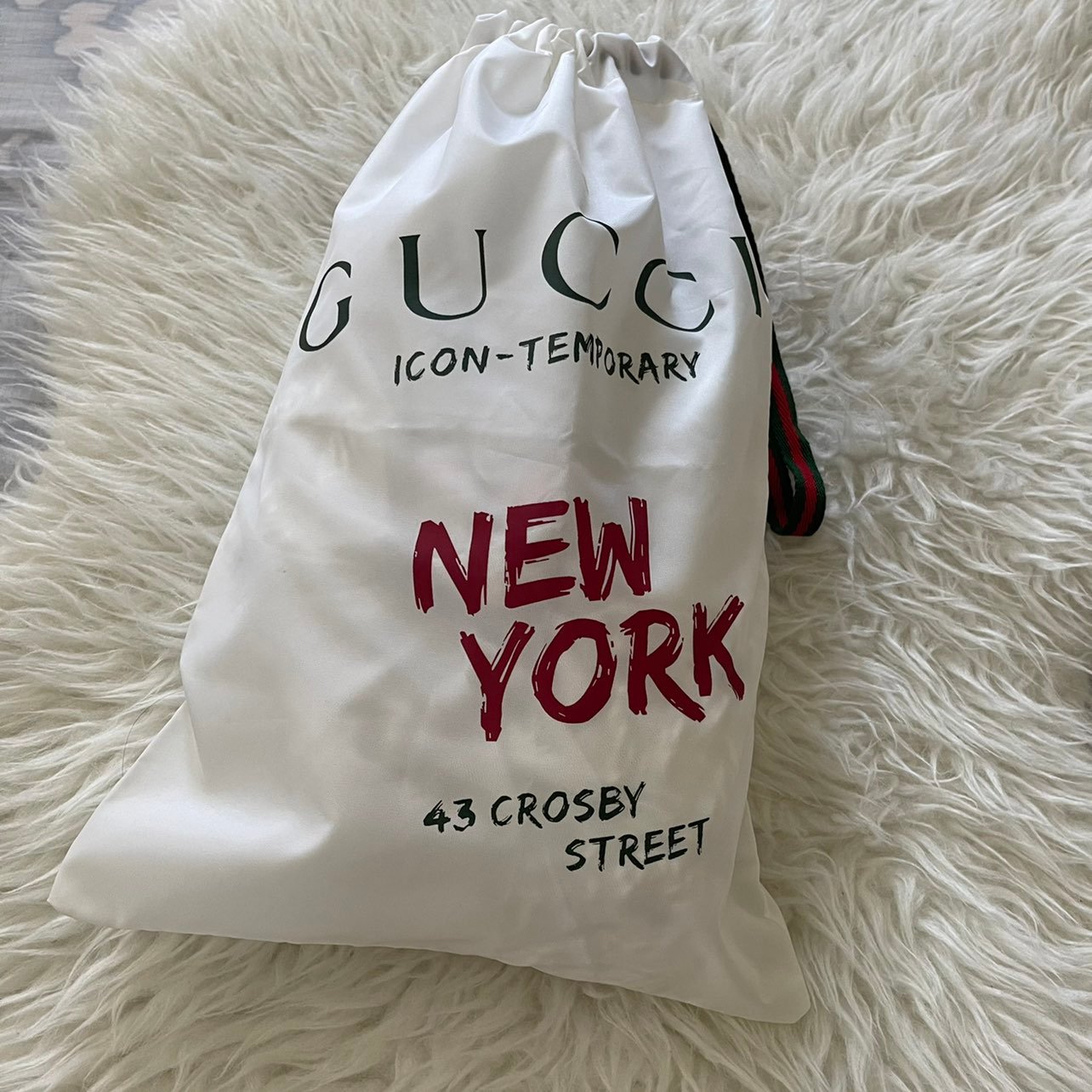 Gucci Nylon Shoes Pouch