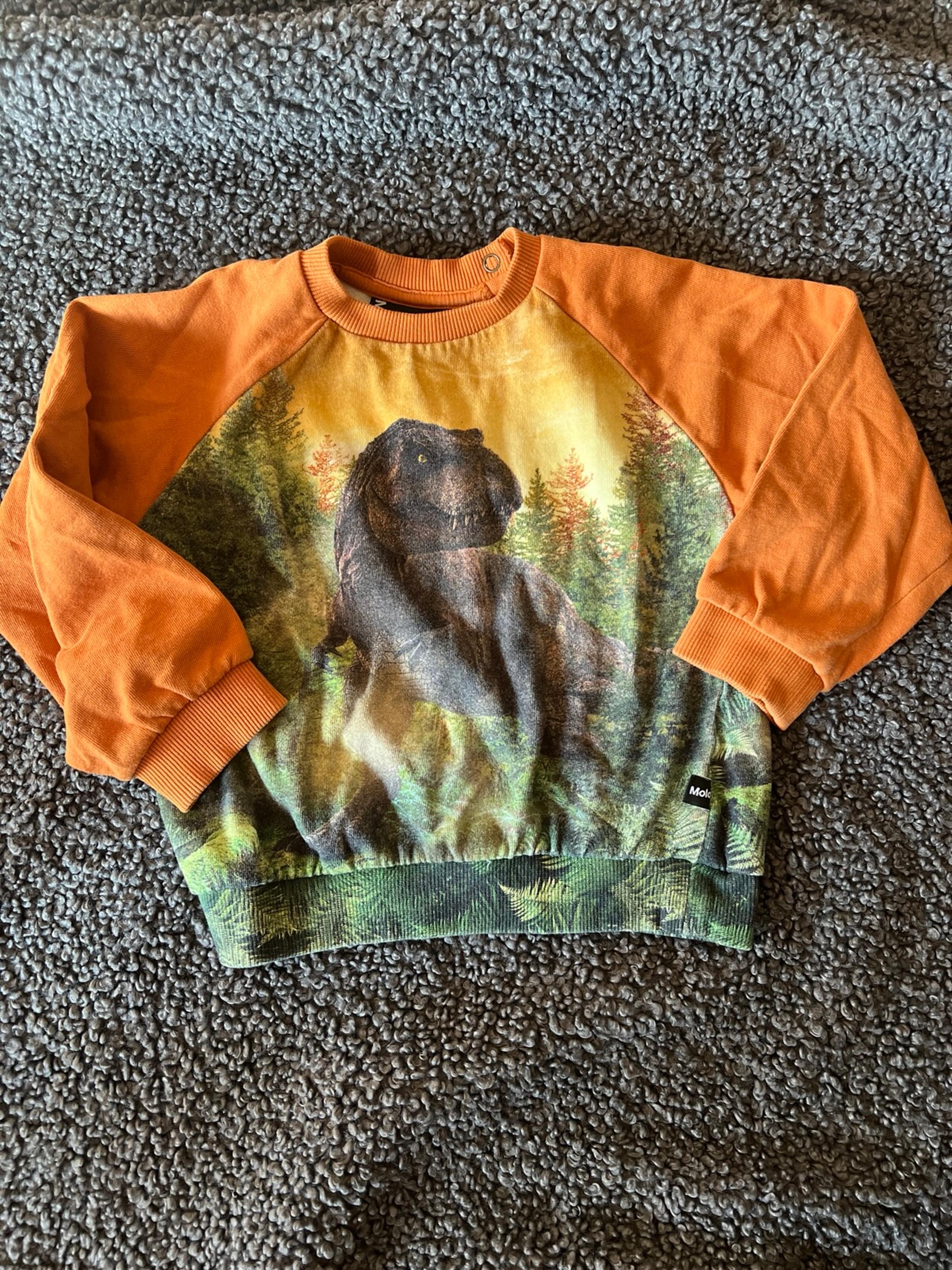 MOLO x Jurassic World sweater with dinosaur print