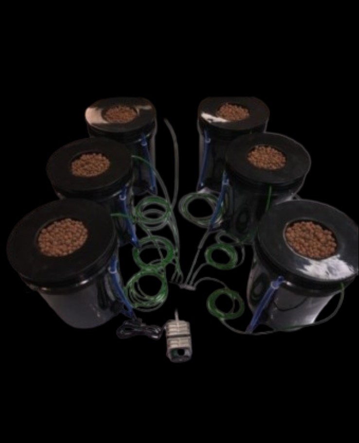 6 Plant DWC 5-Gallon Complete hydroponic grow system with water level indicators