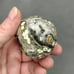 Ocean Jasper sphere