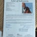Arnold Palmer Auto
