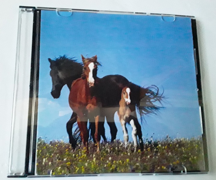 Chad Stewart & The K.G.B. CD VG+ Chad Stuart Signed VG+ Chad & Jeremy
