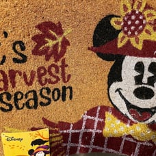 2 MICKEY MOUSE FALL AUTUMN DOOR MATS