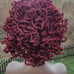 Curly Sista Loc Lace Front Wig Burgundy