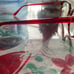 Guess frames