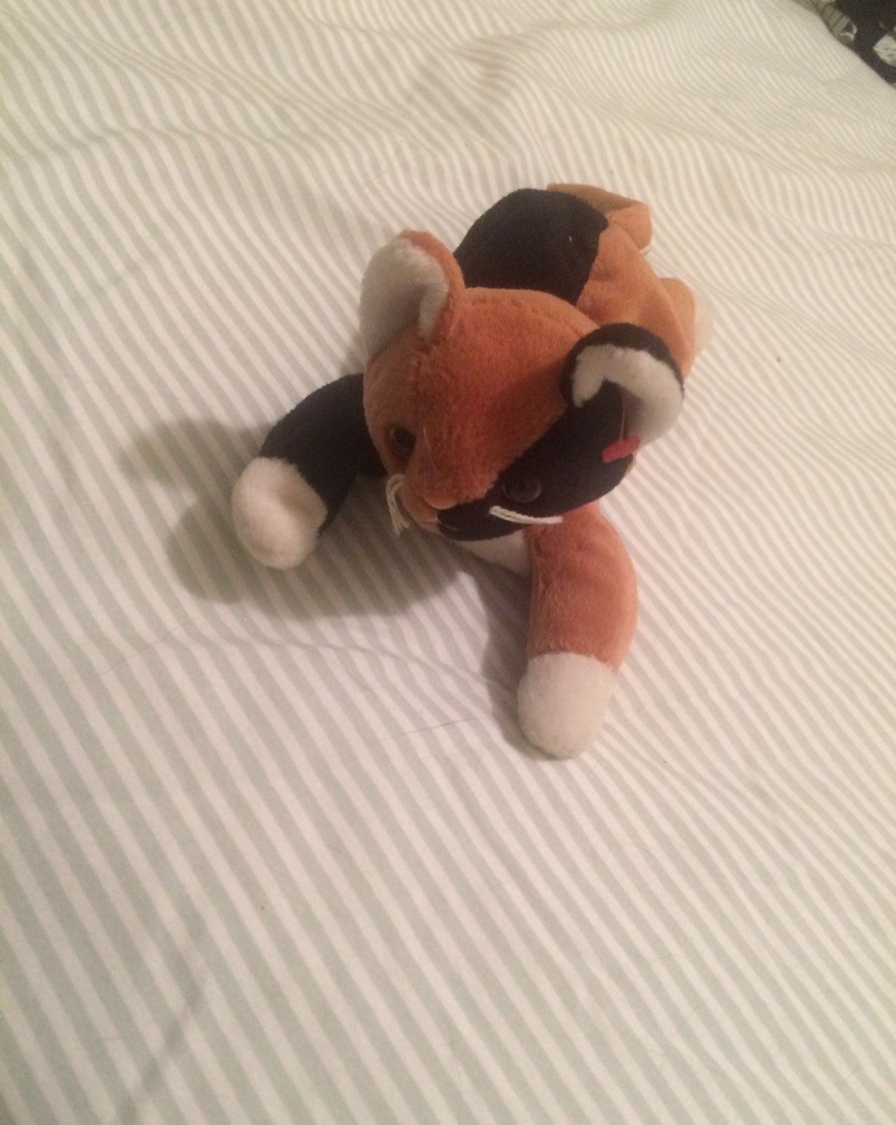 Beanie Baby