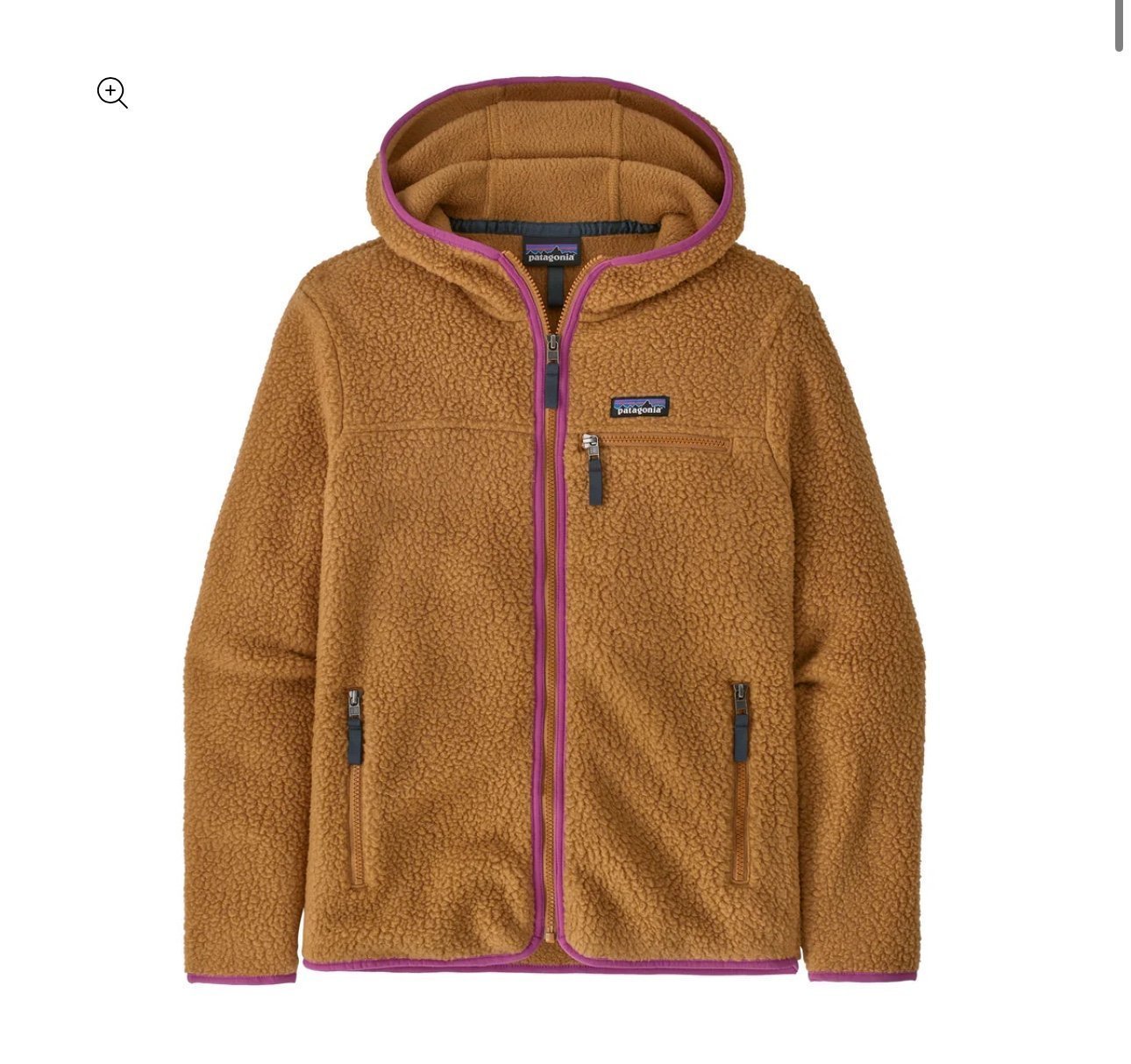 Patagonia Women's Retro Pile Hoody