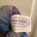 Paca Paints Yarn 100% Súperfine Alpaca