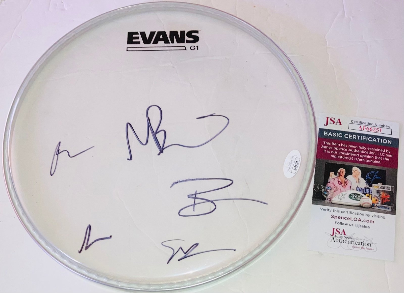 THE NATIONAL BAND SIGNED AUTOGRAPHED EVANS 12” DRUM HEAD JSA COA ALL 5 VERY RARE