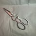 All clad Scissors
