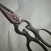 All clad Scissors