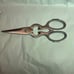 All clad Scissors