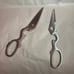 All clad Scissors