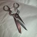 All clad Scissors