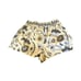 Ulla Johnson Rowan Botanical Lemon Balm Print 100% Cotton Poplin Sz 14 Shorts