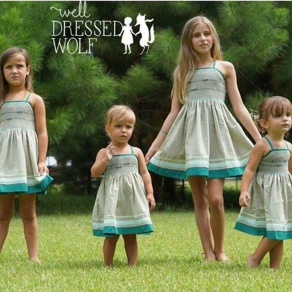 Well Dressed Wolf Bird On a Wire Dress 5
