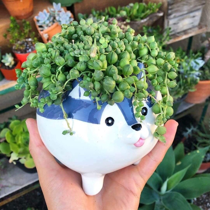 Cute Puppy Handmade Ceramic Planter (Husky)